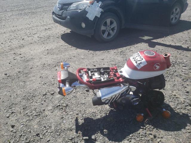 2021 HONDA Z125 MA MLHJB0255M5200126