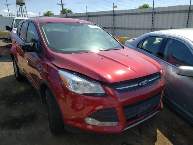 1FMCU9G96EUB56940 | 2014 FORD ESCAPE SE