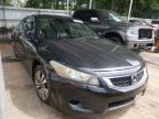 2010 HONDA  ACCORD