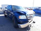 2007 FORD  F150