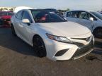 2019 TOYOTA  CAMRY