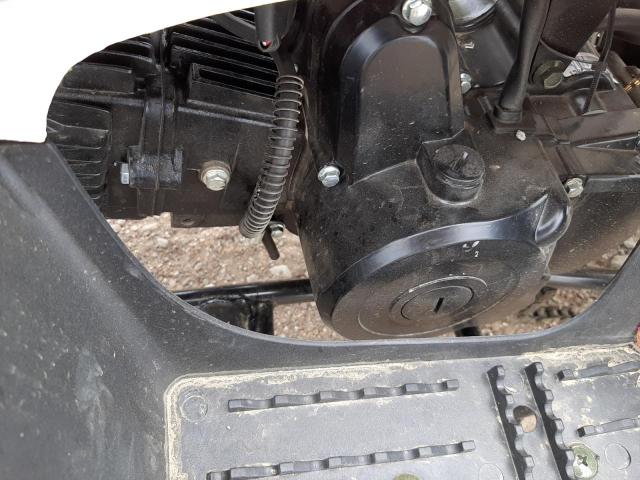 2021 ATV ALL MODELS L7WSCHL35M8003850