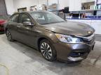 2017 HONDA  ACCORD