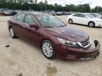 2013 HONDA  ACCORD