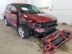 2014 FORD  ESCAPE