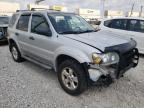 2007 FORD  ESCAPE