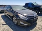 2013 HYUNDAI  SONATA