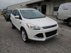 2014 FORD  ESCAPE