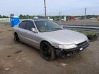 1996 HONDA  ACCORD