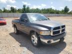 DODGE RAM 1500 2003 foto