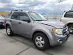 2008 FORD  ESCAPE