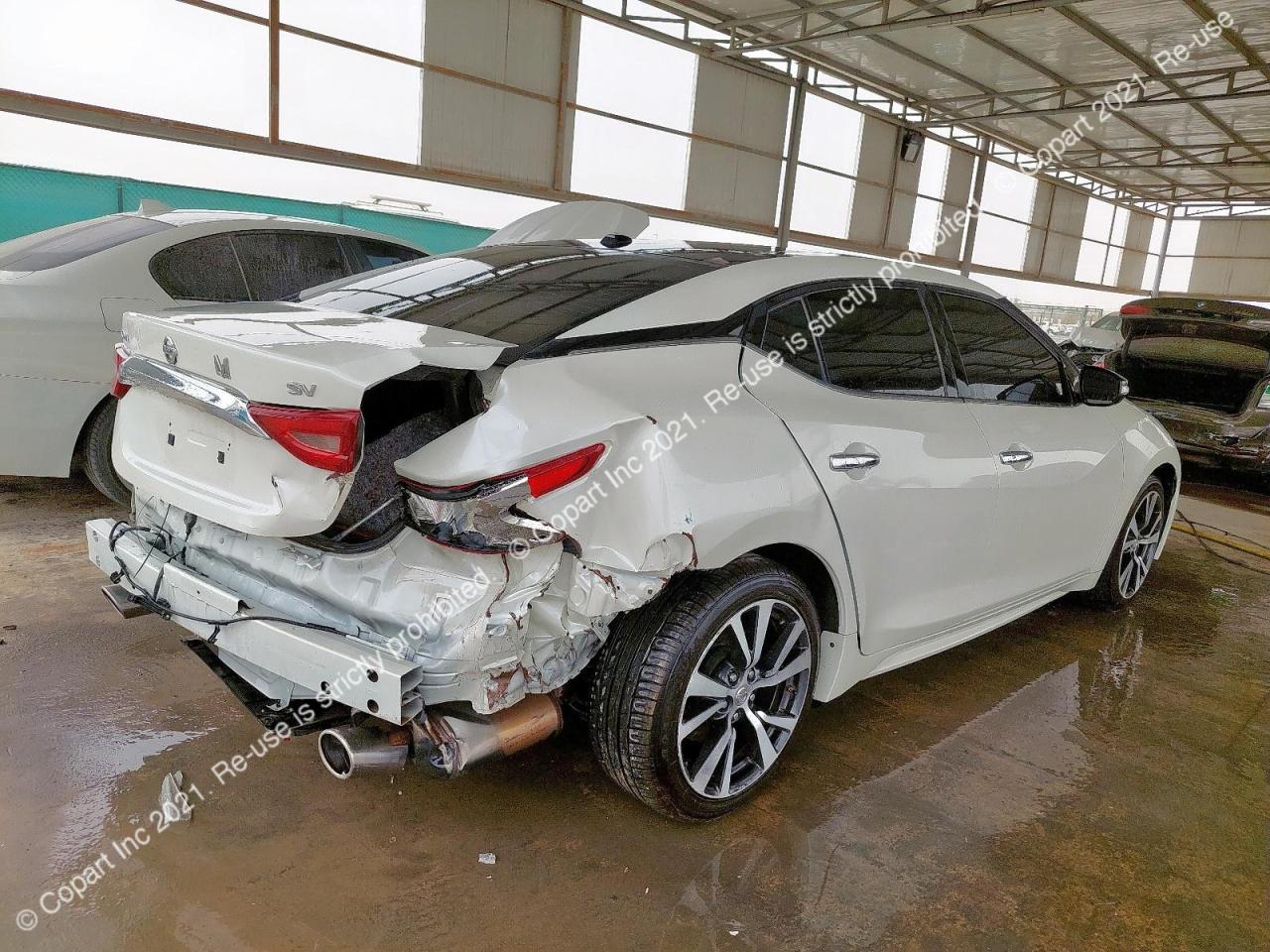 1N4AA6APXGC402509 - 2016 Nissan MAXIMA - #undefined