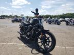 photo HARLEY-DAVIDSON XL883 N 2020