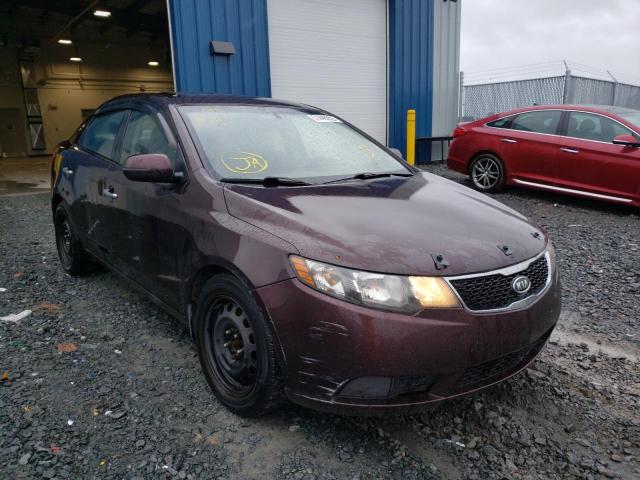Salvage cars for sale from Copart Elmsdale, NS: 2011 KIA Forte EX