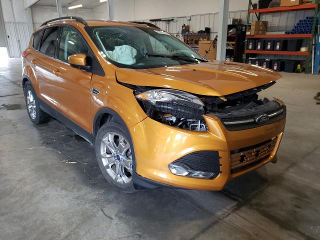 Salvage cars for sale at Avon, MN auction: 2016 Ford Escape SE