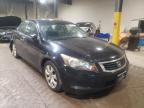 2010 HONDA  ACCORD