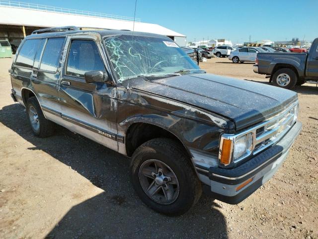 1993 Chevrolet Blazer S10 VIN: 1GNCS13W2P2202020 Lot: 60422982