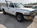 DODGE RAM 1500 2001 foto