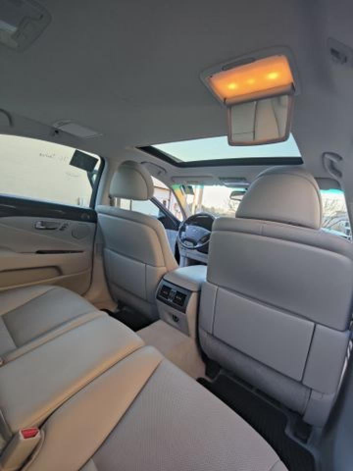 2007 Lexus Ls 460 VIN: JTHBL46F675023555 Lot: 51747782