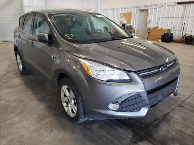 Salvage cars for sale from Copart Avon, MN: 2014 Ford Escape SE