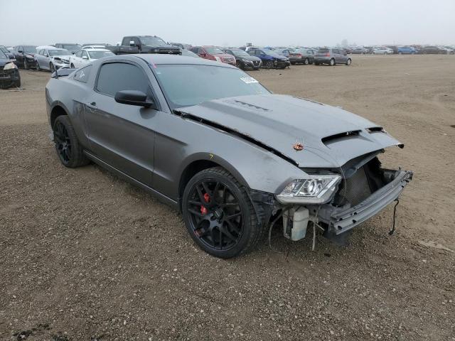 2014 FORD MUSTANG for Sale | CO - DENVER | Thu. Dec 08, 2022 - Used ...