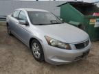 2009 HONDA  ACCORD