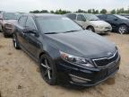 2013 KIA  OPTIMA