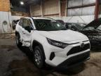 2019 TOYOTA  RAV4