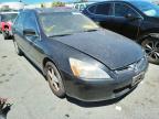 2004 HONDA  ACCORD