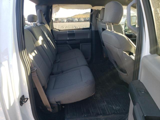 2019 FORD F-150 - 1FTFW1E49KFA43570