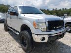 2013 FORD  F-150