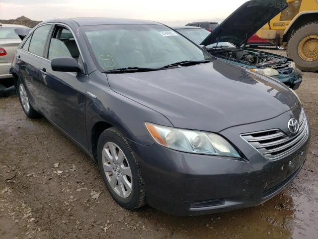 2009 Toyota Camry Hybrid for sale in Elgin, IL