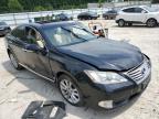 LEXUS ES 350 photo