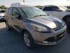 2013 FORD  ESCAPE