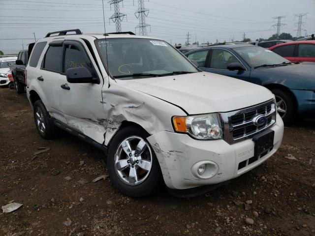 2010 Ford Escape XLT