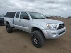 2005 TOYOTA  TACOMA