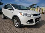 2014 FORD  ESCAPE