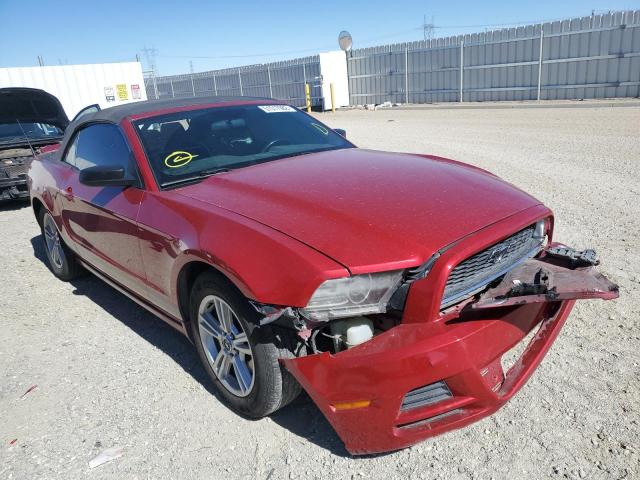 Salvage cars for sale from Copart Adelanto, CA: 2013 Ford Mustang
