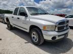 DODGE RAM 1500 2002 foto