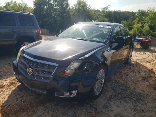CADILLAC CTS PERFORMANCE COLLECTION 2011 1