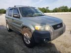 2005 FORD  ESCAPE