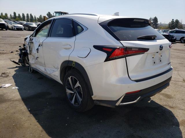 2021 LEXUS NX 300H BA JTJGJRDZ6M5011437