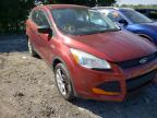 2014 FORD  ESCAPE