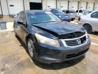 2010 HONDA  ACCORD