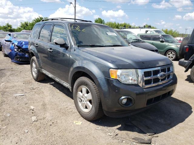 2009 Ford Escape XLT for sale in Indianapolis, IN