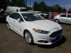 2016 FORD  FUSION