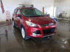 2013 FORD  ESCAPE