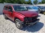 2007 CHEVROLET  TRAILBLZR