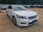 2013 HONDA  ACCORD