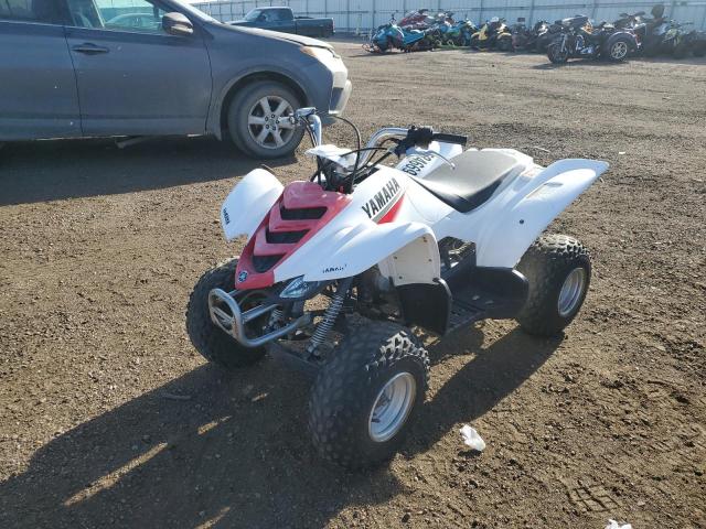 2004 YAMAHA YFM50 JY4AA01364C004082